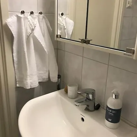 Fraesch Centrumlaegenhet! Apartament *